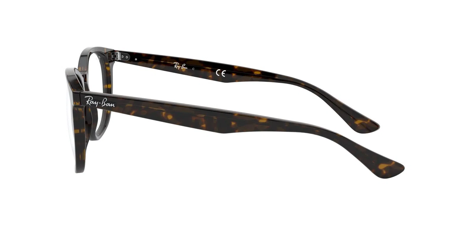 Ray-Ban 5356 Eyeglasses - view 30